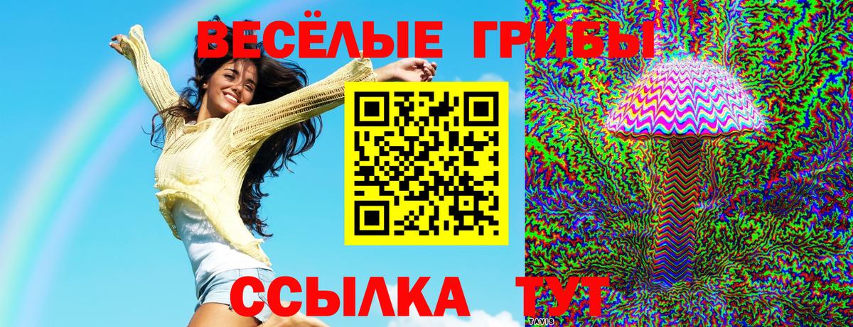 Кисловодск  Псилоцибиновые грибы прущие грибы  Вход с VPN 
