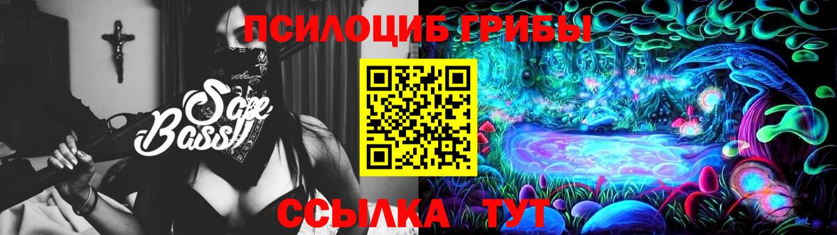 Галлюциногенные грибы мухоморы  Кисловодск 