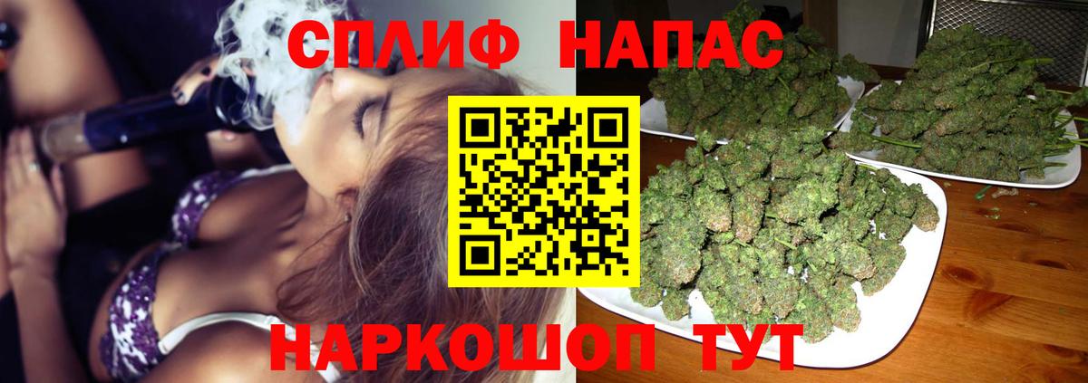Каннабис Bruce Banner Кисловодск